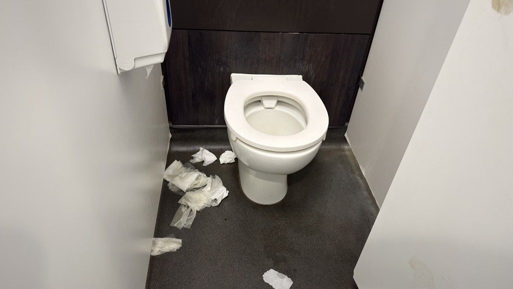 Used toilet paper scattered across the floor of a toilet cubicle